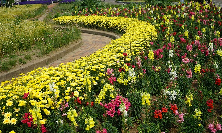 ガーデンフォトギャラリー1