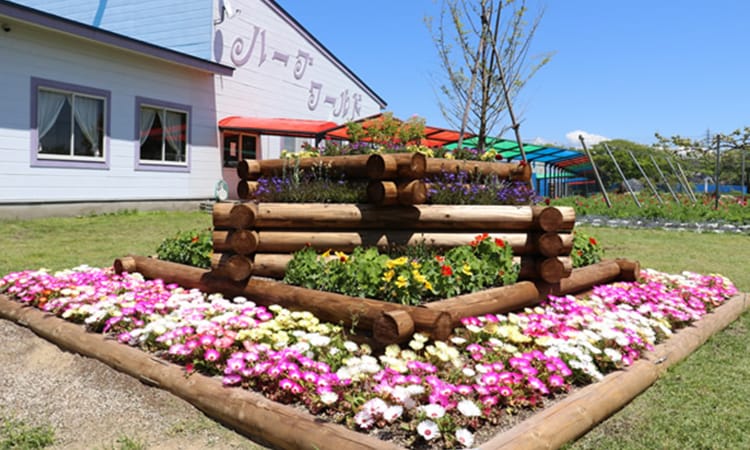 ガーデンフォトギャラリー10