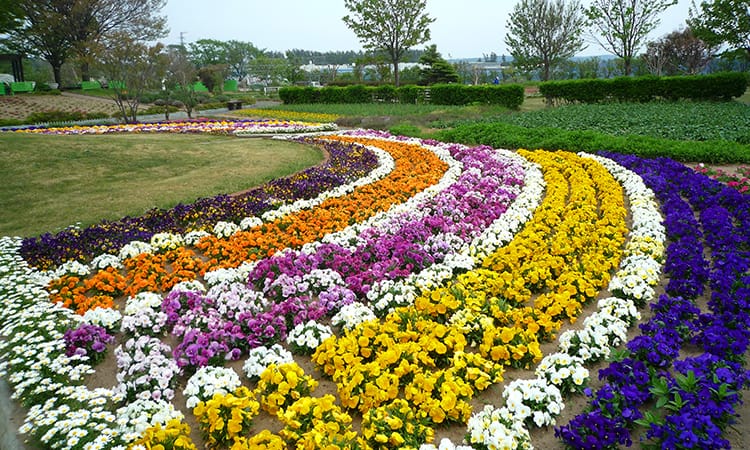 ガーデンフォトギャラリー13