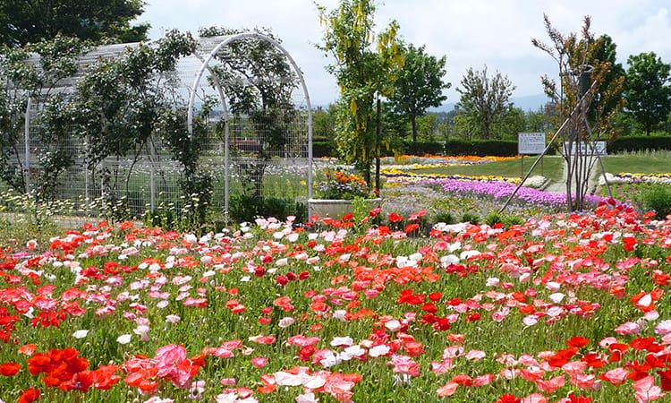 ガーデンフォトギャラリー14