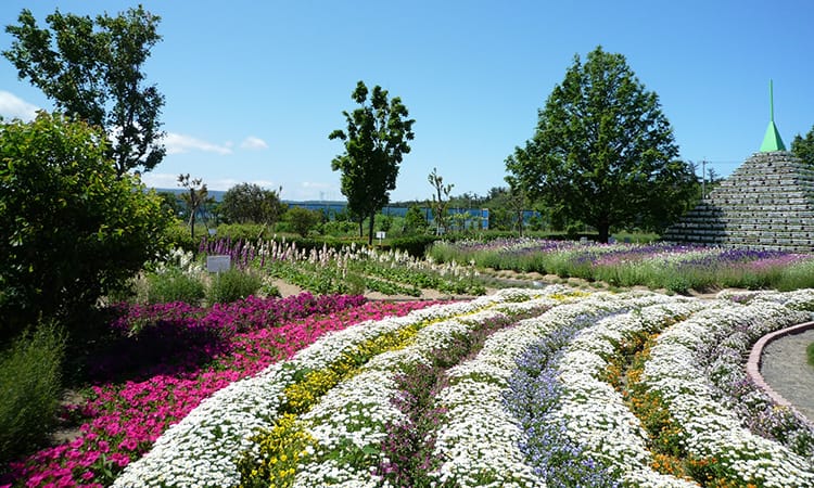 ガーデンフォトギャラリー15