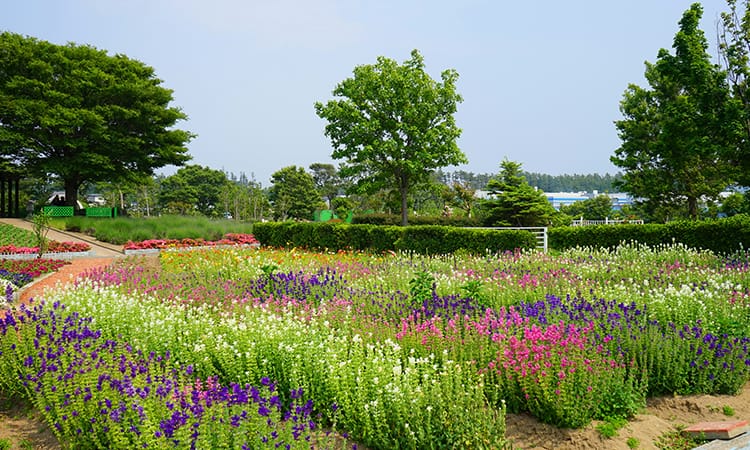 ガーデンフォトギャラリー4