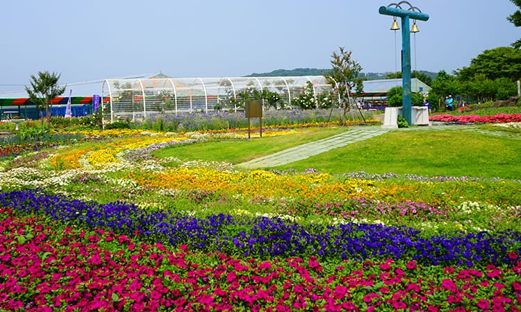 ガーデンフォトギャラリー5