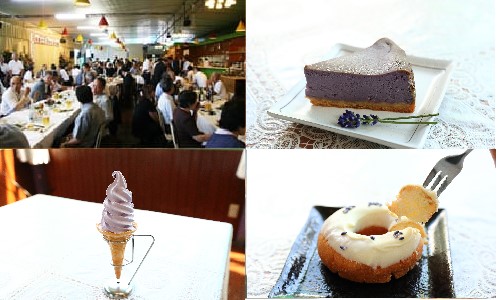 レストラン画像